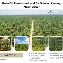 Palm Oil Plantation Land for Sale in Johor