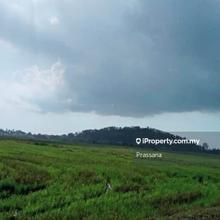 Kvnr.paddy field-agri land @rm 95k sahaja  di permatang ara,spt