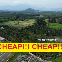 Cheap! cheap! cheap! cheap! cheap! cheap! cheap! cheap! cheap! cheap!