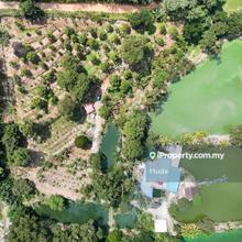 3.76 ac non bumi durian farm with 6 ponds with access in Hulu Langat