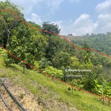 Empty hilly land in Karak 47 acres