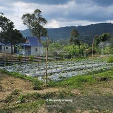 Cheap Hill Land
