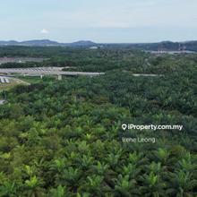 For Sale: 22.75 acres Oil Palm Land in Kuantan, Gambang