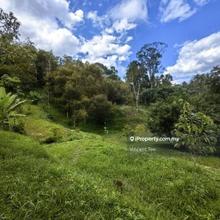 4 Acre Freehold Durian Farm Facing Main Road Bentong Karak Highway