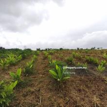 With water source and an irrigation system. 