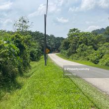 43 acres Rubber plantation & 3 acres converted Industrial land
