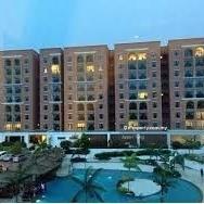 Great Comunity Cash Back For succes buyer,