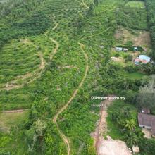 Kuala Ketil Parit Panjang Agriculture Land For Sale