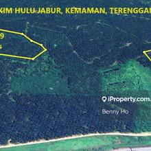 4 Lots Agriculture Oil Palm Land  For Sale at Jabor Kemaman Terengganu