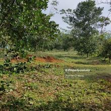 1.1 acre Agriculture for Rent in Balakong/Semenyih Nilai