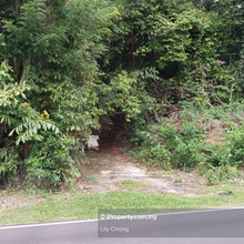 For Sale Rubber Plantation Land