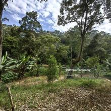 16 Acres Durian Old Tree Farm with Stream Sungai Ara Bayan Lepas