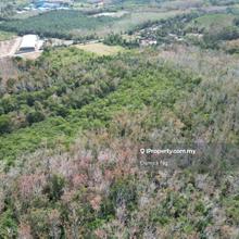 Urgent Sale Jitra Napoh Guar Napai Land For Sale Rubber Tree