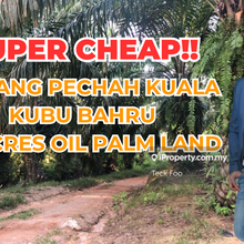 Super Cheap Freehold 32 Acres Oil Palm Land For Sale