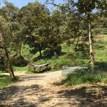 4 acres Bentong Old Road Matured Durian Land for Sale