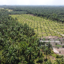 Main road facing,freehold ,industry zoning,suitable developer 