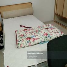Middle rooms to let