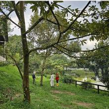 Agricultural Land For Sale