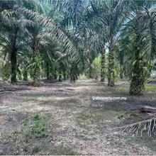 Zoning Residential Agriculture Land at Gelang Patah