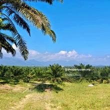 Sungai Siput Taman Jalong Nice Flat Palm Oil Land Near Main Road 
