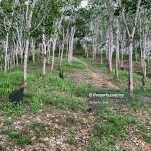 Agriculture land for Sale