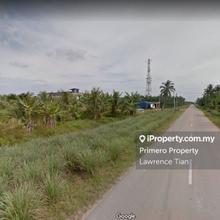 Assam Jawa Agriculture land for Sale