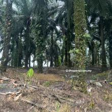 Kulai Industry Land For Sale