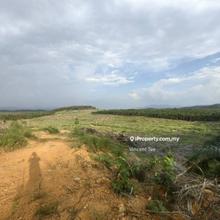41 Acres Freehold Vacant Agriculture Land Simpang Pertang Jelebu