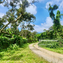 Hot Deal! Mantin Agriculture Land, Freehold, with Durian Trees