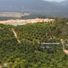 Spacious 100 Acres Agricultural Land Repah, Tampin, Negeri Sembilan