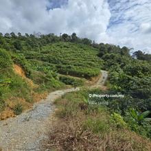6.3 acres Bentong (Tmn Desa Damai) Durian Land For Sale