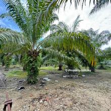 Sungai Siput 3acres main road freehold agriculture land for sale
