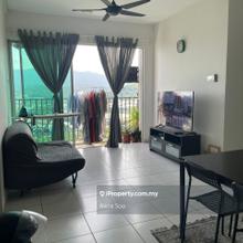 The Zizz unit for sale!