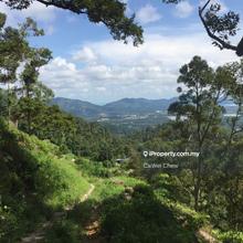 Value Buy Durian Fruit Orchard Land near famous township Balik Pulau