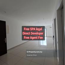 Direct developer
