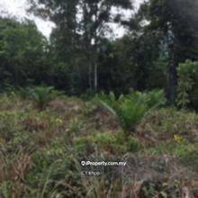 Pahang Rompin Pontian 2000 acres Empty Land for sale