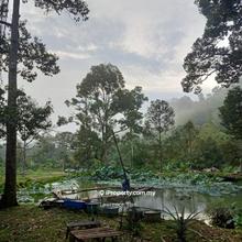 Prime Agricultural land, Bentong, Pahang 