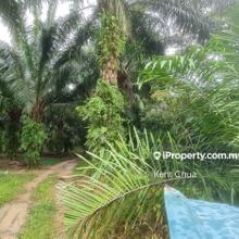 Limited lot, 10 mins from Kundang toll!