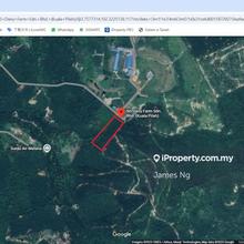 Agriculture land (Malay Reserve)for sale (Negotiable)