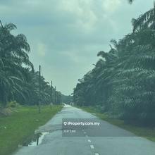 Jenjarom land ,kuala Langat industrial land for sale 