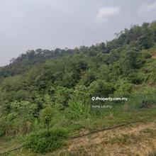 8.675 ac Karak (Behind Tamil School) Vacant Land For Sale