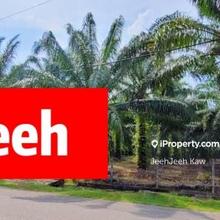 6.6 Acres Roadside / Oil Plam Land @ Semeling Kedah 