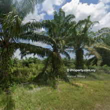 Plantation land for sale