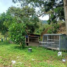 9.93 acres, freehold, Durian plantation, beside main road.