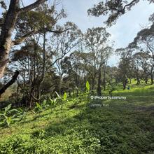 Mantin Agriculture Land durian farm