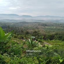 Agriculture land for Sale