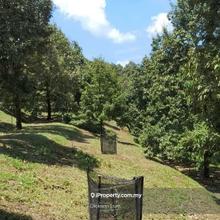 Agriculture land for Sale