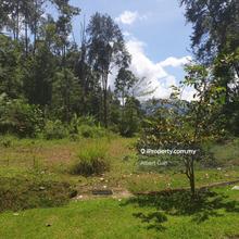 Agriculture land for Sale