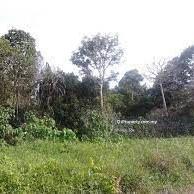 Freehold Agricultural land at Pulau Meranti For Sale @ Puchong