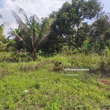 Kota Tinggi Development & Agriculture Land
